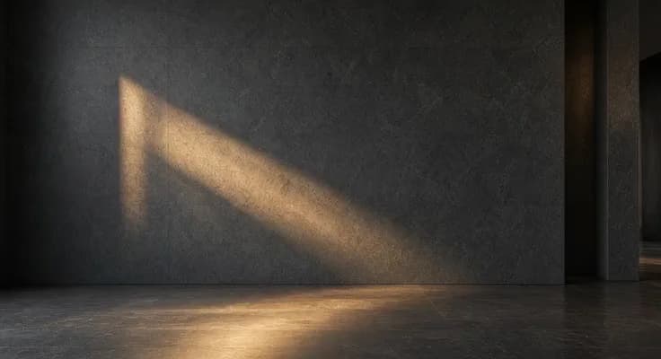 Warm diagonal sunlight across a charcoal architectural wall